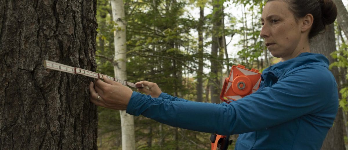 tara hartson using surveying equipment